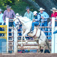 TaralgaRodeo2014_2013