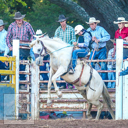 TaralgaRodeo2014_2013