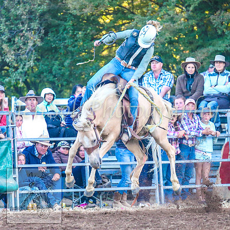 TaralgaRodeo2014_1986