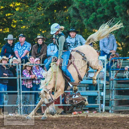 TaralgaRodeo2014_KJS_5037