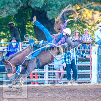 TaralgaRodeo2014_1909