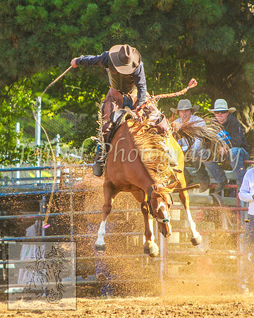 TaralgaRodeo2014_KJS_4651