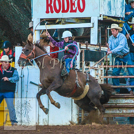 TaralgaRodeo2014_KJS_5008