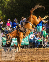 TaralgaRodeo2014_1362