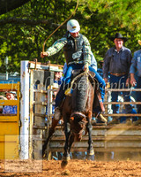 TaralgaRodeo2014_KJS_4639