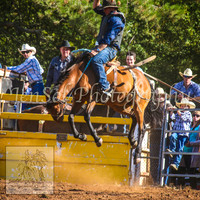TaralgaRodeo2014_1213