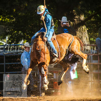 Poley Buckjump