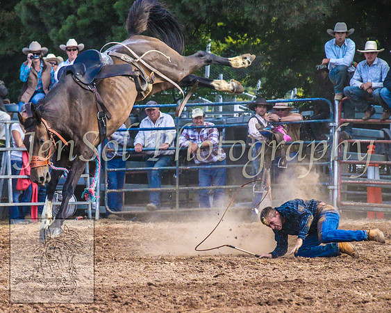 TaralgaRodeo2014_1476