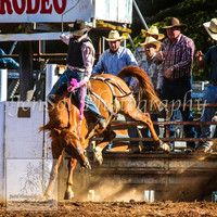 TaralgaRodeo2014_1253