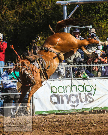 TaralgaRodeo2014_1365