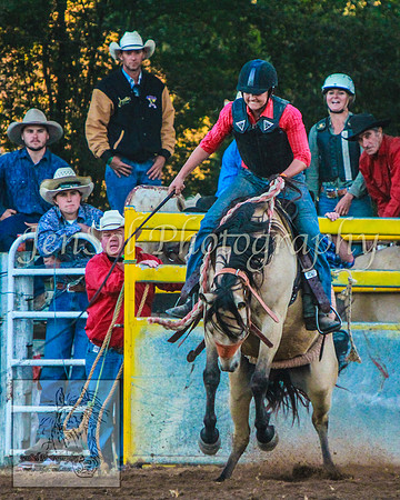 TaralgaRodeo2014_KJS_5022