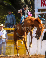 TaralgaRodeo2014_1282