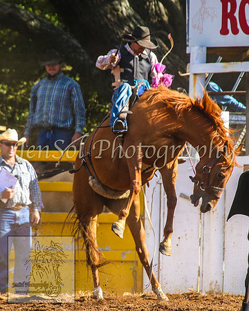 TaralgaRodeo2014_1282