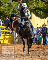 TaralgaRodeo2014_1321