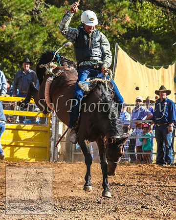 TaralgaRodeo2014_1321
