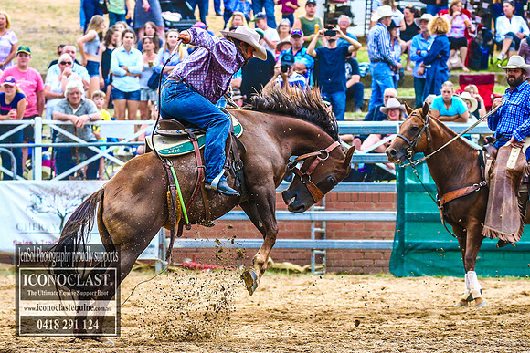 CoomaRodeo2018_3755