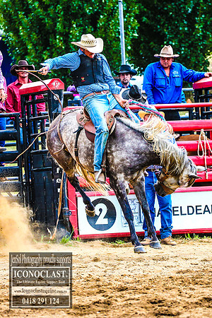 CoomaRodeo2018_3633