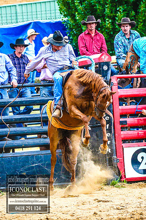 CoomaRodeo2018_3889