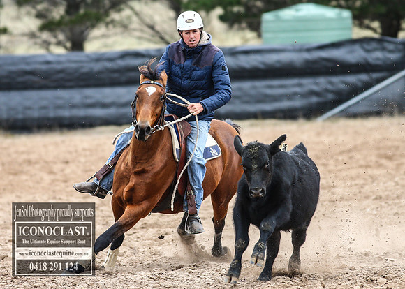 GoulburnCampdraft2018_7513