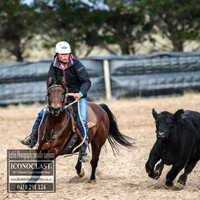 GoulburnCampdraft2018_7015