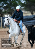 GoulburnCampdraft2018_7181