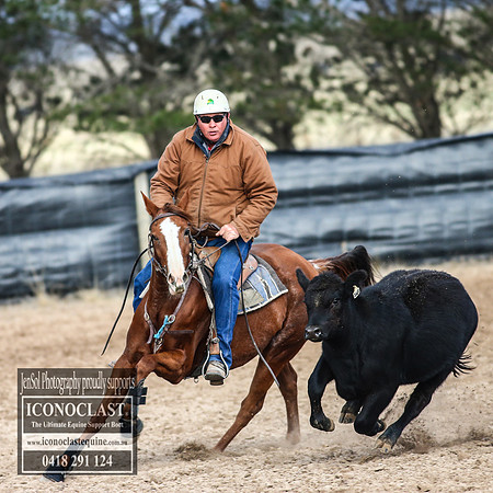 GoulburnCampdraft2018_7092