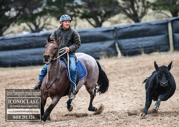 GoulburnCampdraft2018_7297