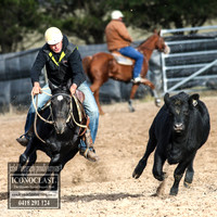 GoulburnCampdraft2018_7113