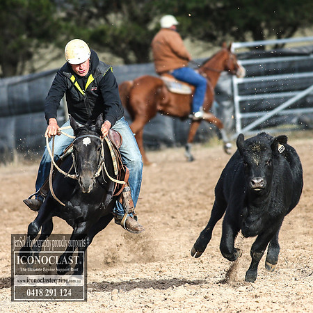 GoulburnCampdraft2018_7113