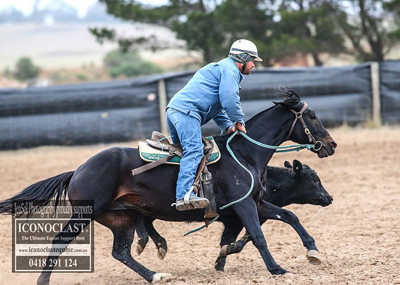 GoulburnCampdraft2018_7265