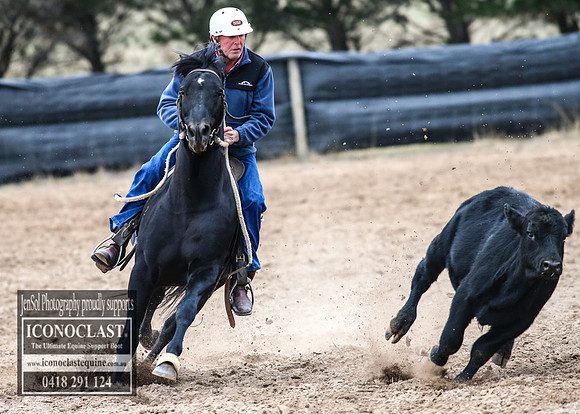 GoulburnCampdraft2018_7308