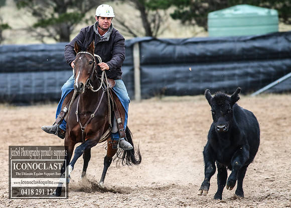 GoulburnCampdraft2018_7372