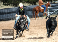 GoulburnCampdraft2018_7116