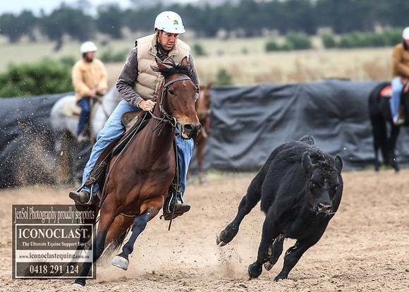 GoulburnCampdraft2018_7550