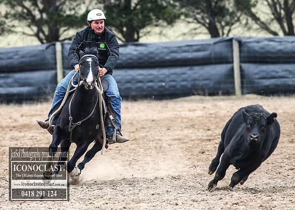 GoulburnCampdraft2018_7488