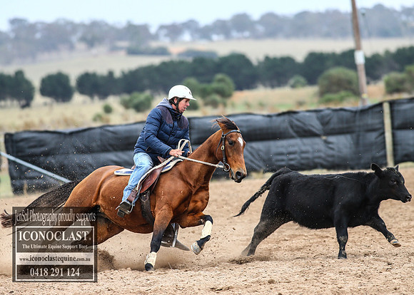 GoulburnCampdraft2018_7526