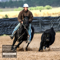 GoulburnCampdraft2018_7005