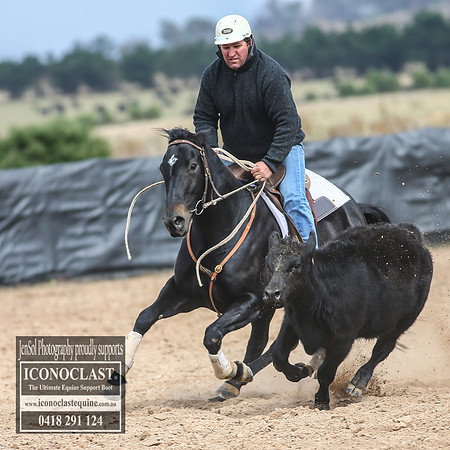 GoulburnCampdraft2018_7662