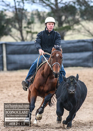 GoulburnCampdraft2018_7279