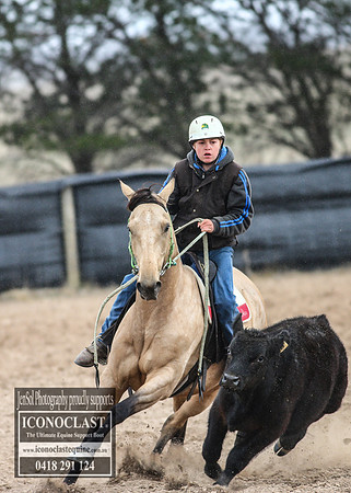 GoulburnCampdraft2018_7697