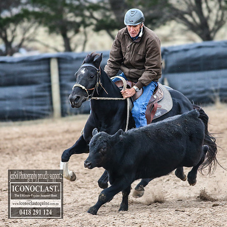 GoulburnCampdraft2018_7410