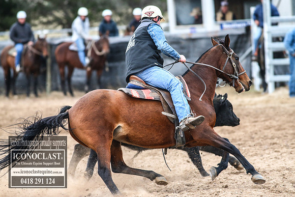 GoulburnCampdraft2018_7451
