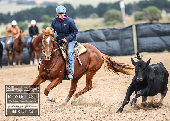 GoulburnCampdraft2018_7589