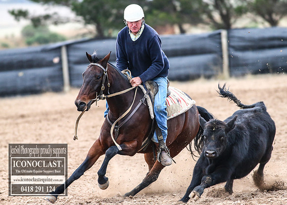 GoulburnCampdraft2018_7300