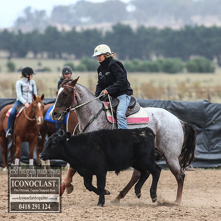 GoulburnCampdraft2018_7617