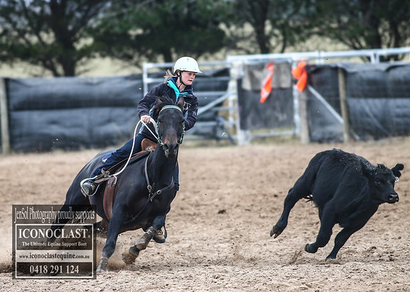 GoulburnCampdraft2018_7456