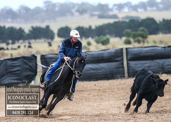 GoulburnCampdraft2018_7320