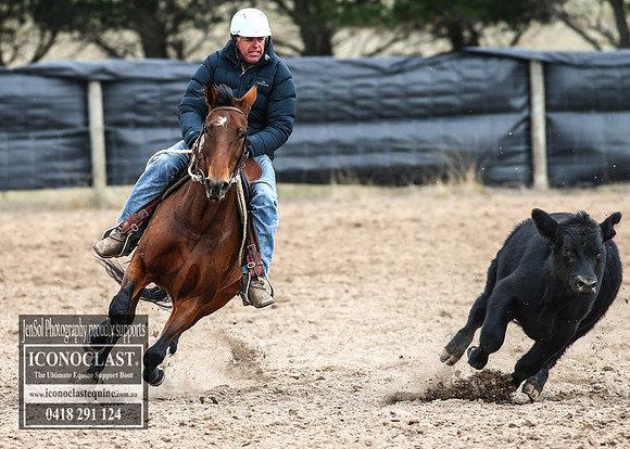 GoulburnCampdraft2018_7597