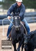 GoulburnCampdraft2018_7203