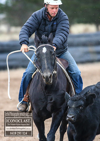 GoulburnCampdraft2018_7203